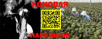 шишки Ливны