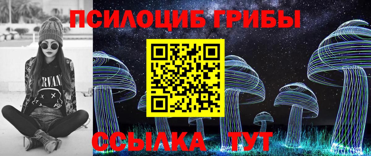 Галлюциногенные грибы Psilocybine cubensis Щёлково